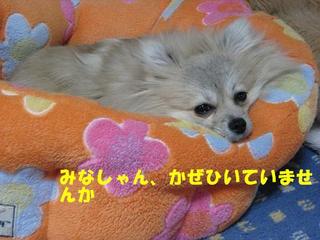 画像 371.jpg