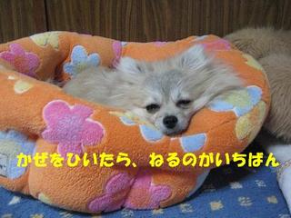 画像 372.jpg
