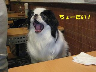 画像 384.jpg