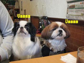 画像 391.jpg
