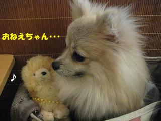 画像 409.jpg