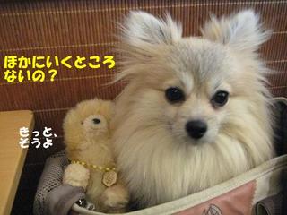 画像 410.jpg