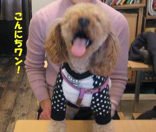 画像 415.jpg