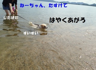 IMG_2713.jpg