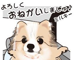 __tn_miilky.jpg
