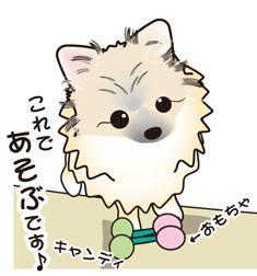 kyachidandy.jpg