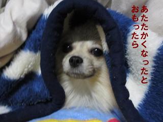 pfoto 066.jpg