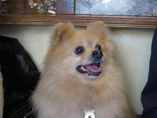pfoto 087.jpg