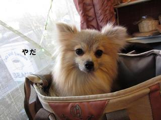 pfoto 092.jpg