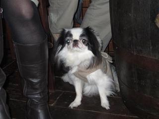 pfoto 093.jpg