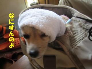 photo 001.jpg