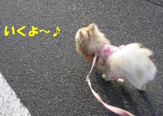 photo 001.jpg