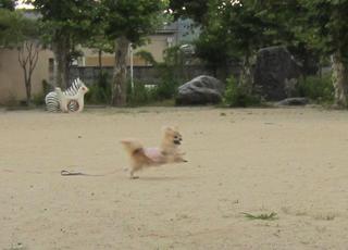 photo 001.jpg