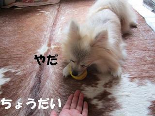 photo 002.jpg