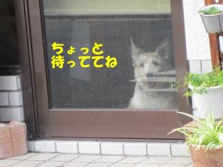 photo 002.jpg
