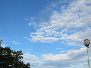 photo 003.jpg