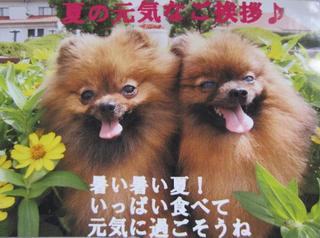 photo 003.jpg