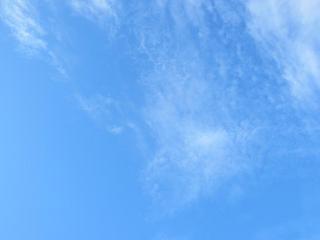 photo 005.jpg