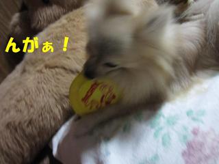 photo 005.jpg