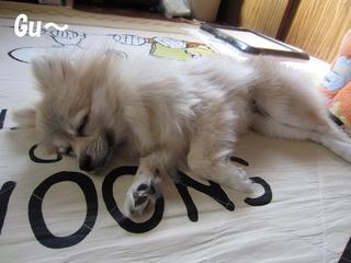 photo 006.jpg