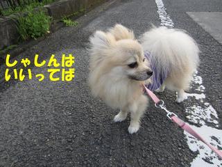 photo 007.jpg