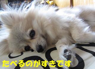 photo 007.jpg