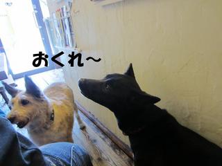 photo 009.jpg