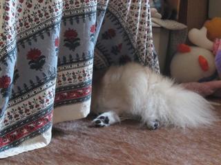 photo 009.jpg