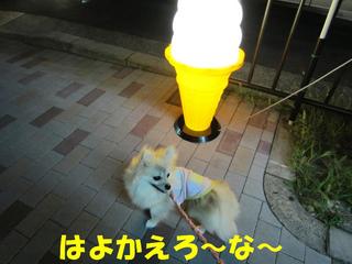 photo 011.jpg