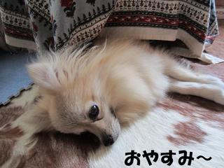 photo 013.jpg