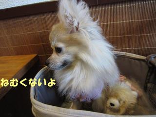photo 013.jpg