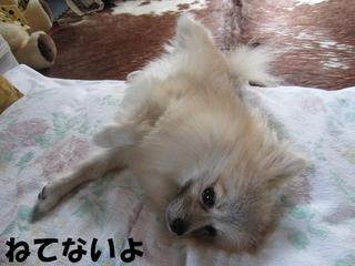 photo 014.jpg