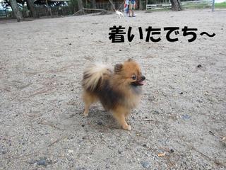 photo 015.jpg