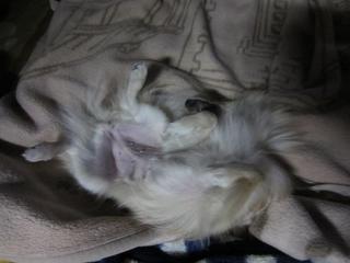 photo 016.jpg