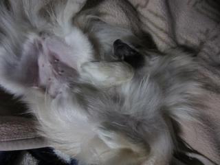 photo 017.jpg