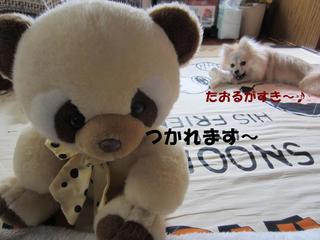 photo 019.jpg