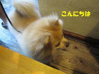 photo 021.jpg