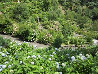 photo 022.jpg