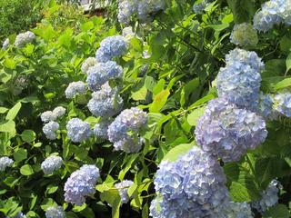 photo 032.jpg