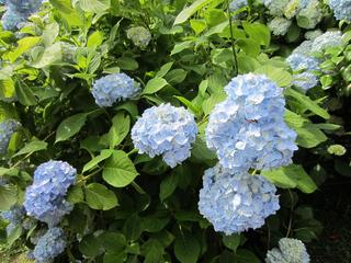 photo 035.jpg