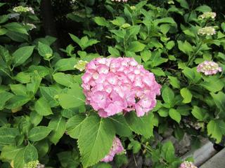 photo 037.jpg