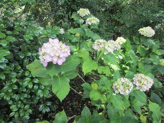 photo 044.jpg