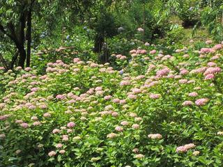photo 045.jpg
