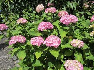 photo 046.jpg