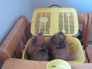 photo 059.jpg