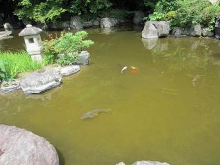 photo 060.jpg