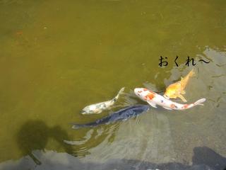 photo 062.jpg