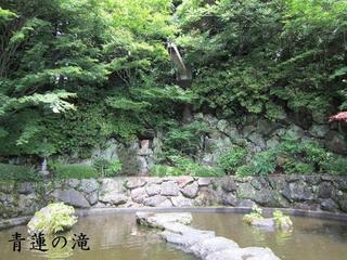 photo 064.jpg