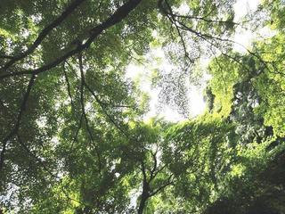 photo 071.jpg