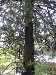 photo 074.jpg